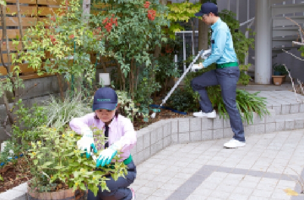 庭木のお手入れサービス