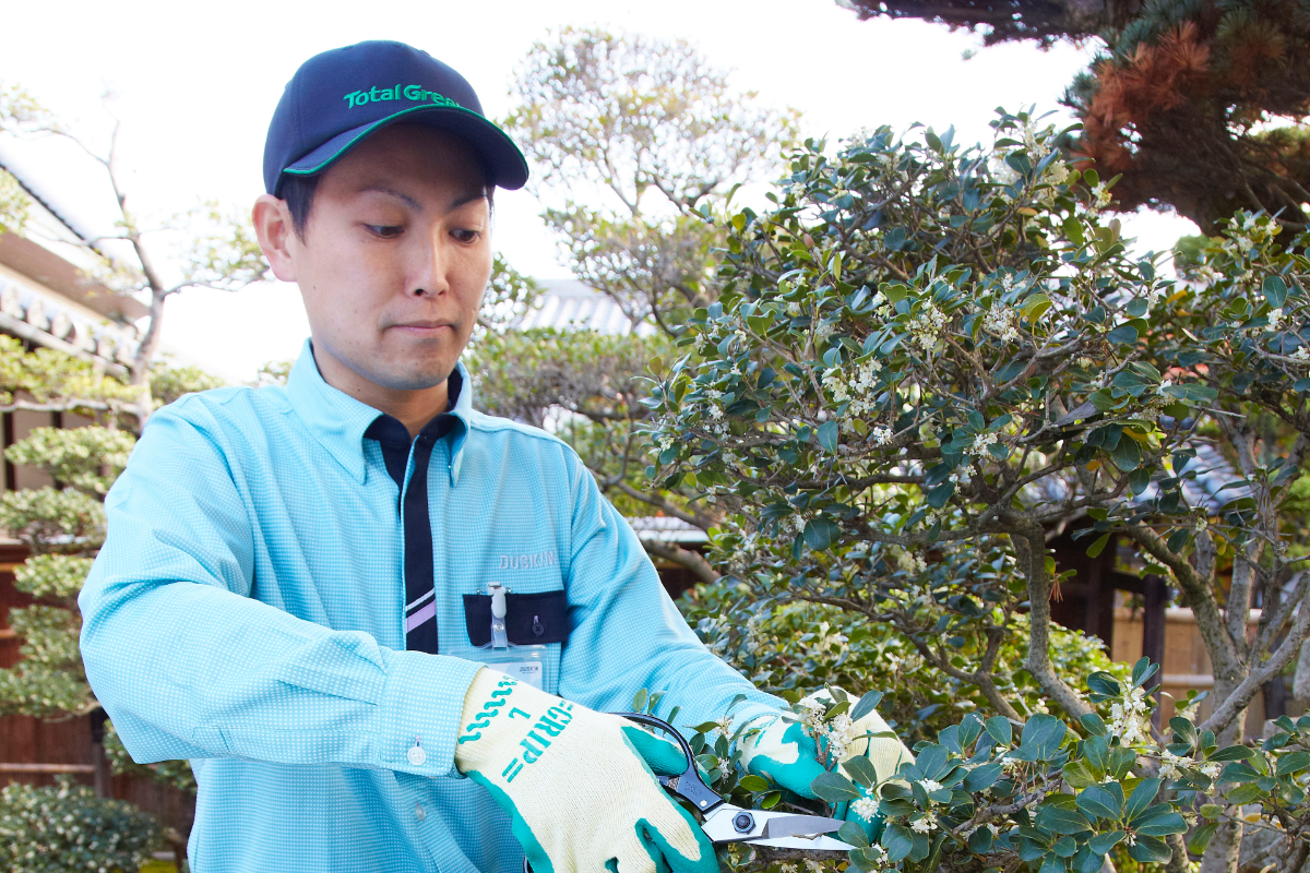 庭木の剪定サービス