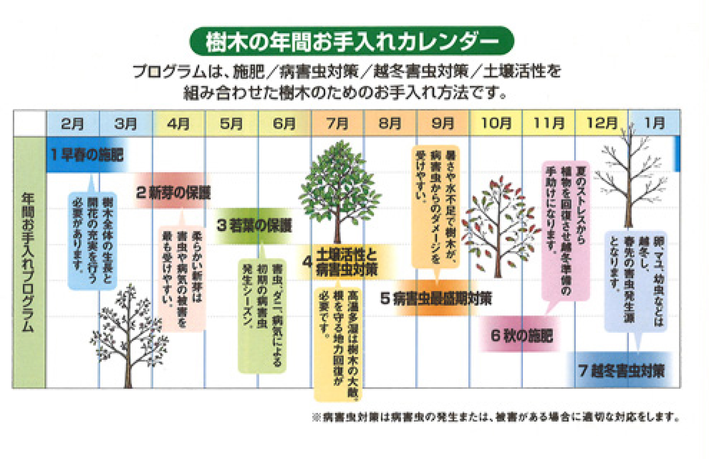 樹木の年間お手入れサービス